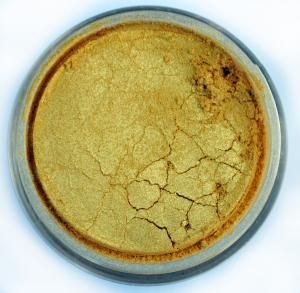 COSMIC SHIMMER MICA pigment  - PALE GOLD