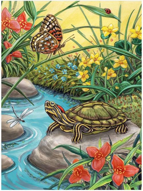  Комплект рисуване по номера, Royal Langnickel А4 * "Червенобуза костенурка"