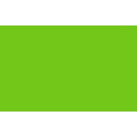 Neon Green Poster Board 48×68 cm – 380 g/m² (1 Sheet)