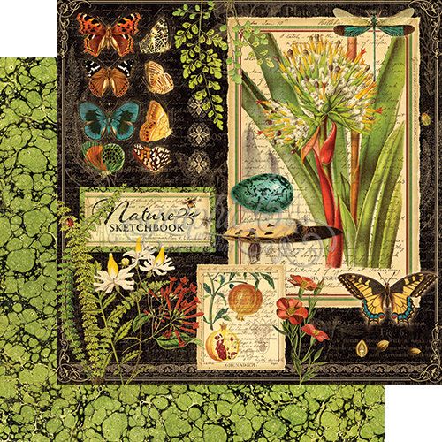 GRAPHIC45 USA # NATURE SKETCHBOOK COLLECTION - Дизайнерски двустранен картон 30,5 х 30,5 см.