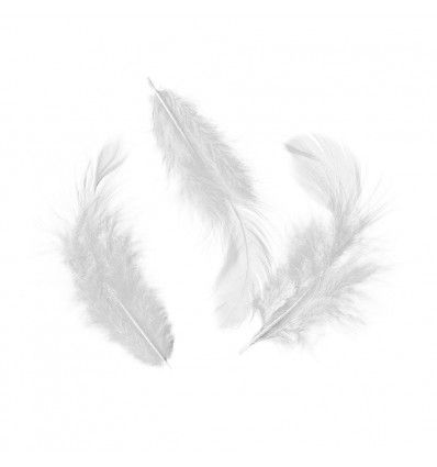 Комплект деко пера - Artemio, feathers set -  Бели
