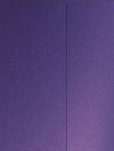 PEARL A4 - Двустранен перла-металик картон 285 гр # VIOLET