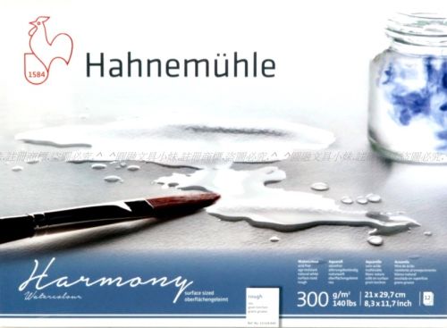 HAHNEMUHLE СКИЦНИК HARMONY  ROUGH А4 300г, 12л