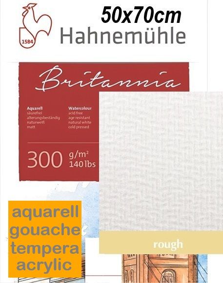 HAHNEMUHLE WATERCOLOUR BRITANNIA 300gsm 50x70cm ROUGH