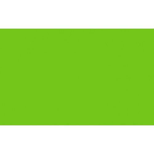 Neon Green Poster Board 48×68 cm – 380 g/m² (1 Sheet)