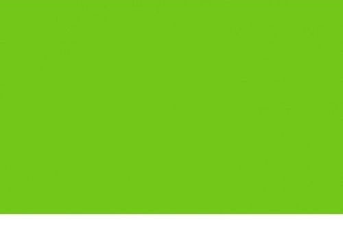 Neon Green Poster Board 48×68 cm – 380 g/m² (1 Sheet)