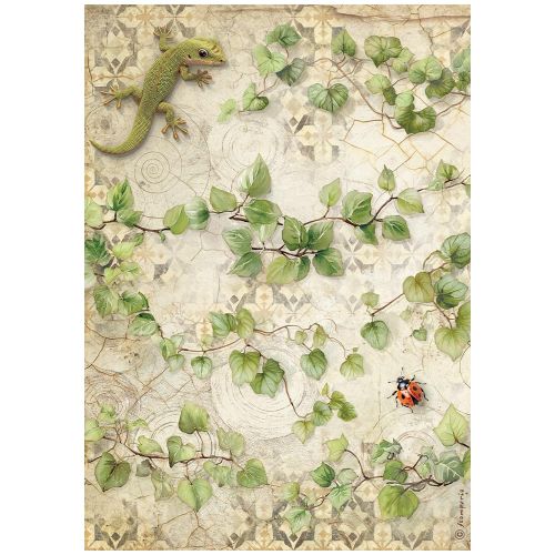 STAMPERIA, A4 Rice Paper - All Around ivy